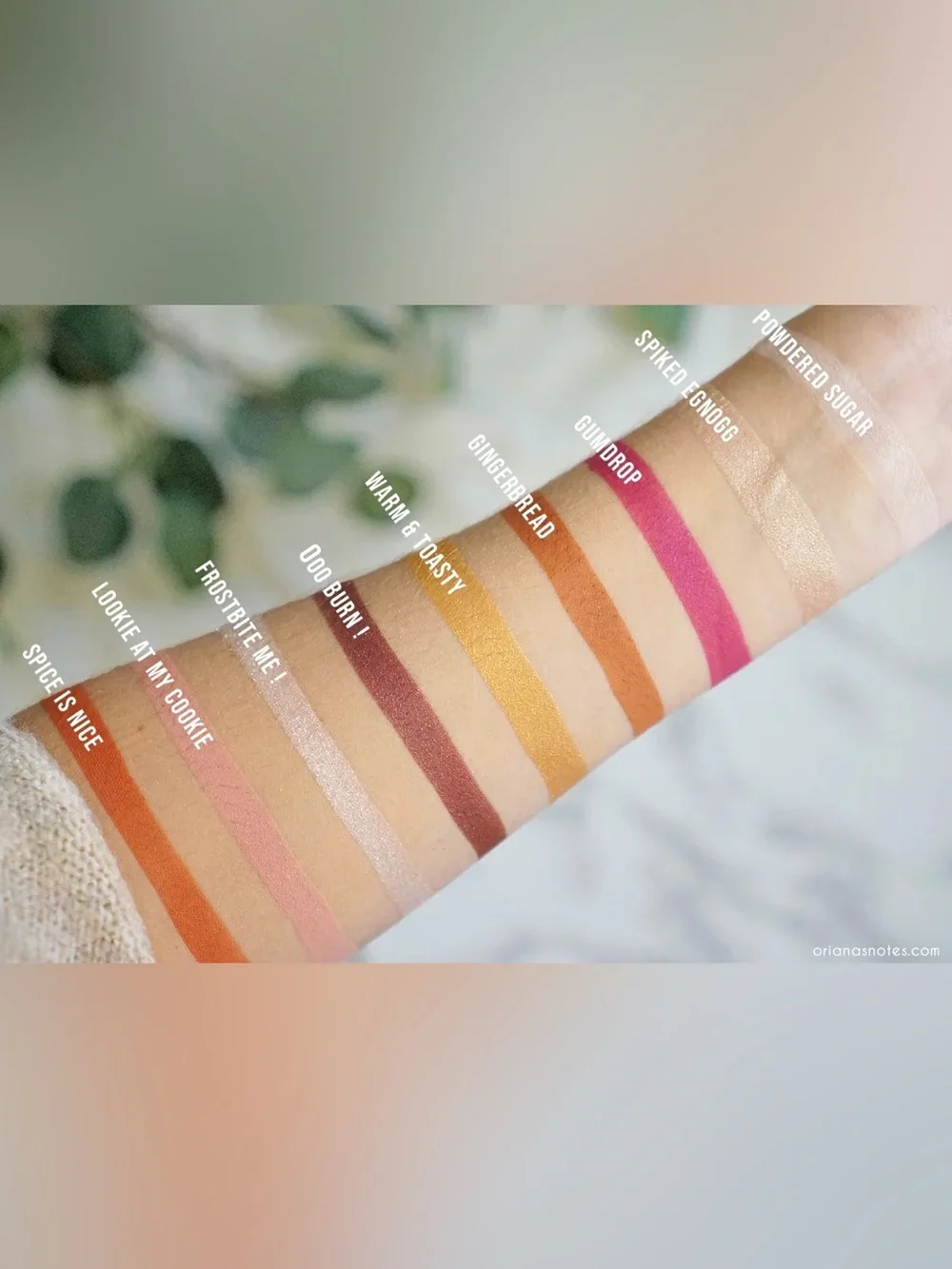 NIB Too Faced Gingerbread Spice Eyeshadow Palette